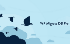 WP Migrate DB Pro v2.6.12 + Addons