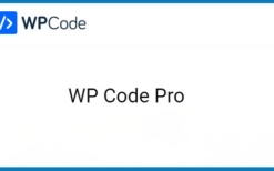 wpcode pro (v2.1.10) + conversion pixels v1.1.0