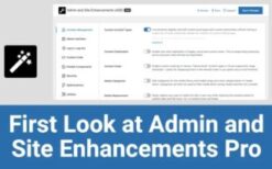 admin and site enhancements (ase) pro v6.9.6.2Admin and Site Enhancements (ASE) Pro v6.9.6.2