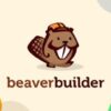 beaver builder pro (agency) (v2.8.0.7) + theme v1.7.15.3