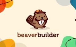 beaver builder pro (agency) (v2.8.0.7) + theme v1.7.15.3