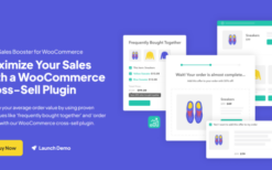 ıconic sales booster for woocommerce (v1.20.0)