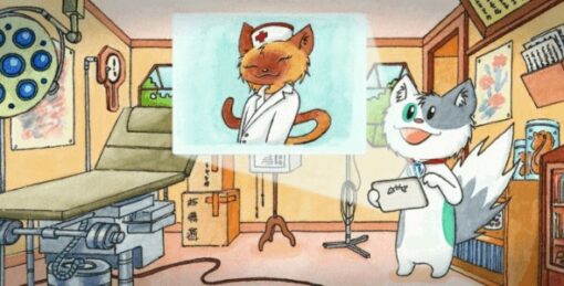 meow lightbox pro v5.1.6Meow Lightbox Pro v5.1.6