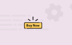 v2.0.4 wpc buy now button for woocommerce