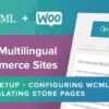 wpml woocommerce multilingual multicurrency (v5.3.6)WPML WooCommerce Multilingual & Multicurrency (v5.3.6)