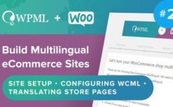 wpml woocommerce multilingual multicurrency (v5.3.6)WPML WooCommerce Multilingual & Multicurrency (v5.3.6)