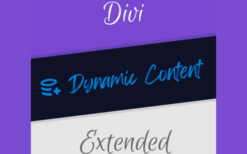 divi dynamic content extended v1.2.0Divi Dynamic Content Extended v1.2.0