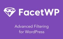 facetwp v4.2.12 + addons – advanced filtering plugin for wordpress [updated addons]