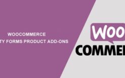 woocommerce gravity forms product add ons v3.6.1WooCommerce Gravity Forms Product Add-ons v3.6.1