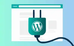 wordpress eklenti satin al