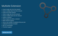 All In One WP Migration Multisite Extension
