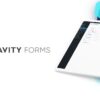 Gravity Forms Satın Al