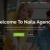 Naila v1.0 – One Page MultiPurpose WordPress Theme