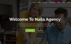 Naila v1.0 – One Page MultiPurpose WordPress Theme