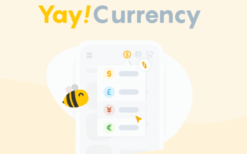 YayCurrency Pro v3.2 WooCommerce Multi-Currency Switcher​