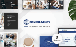 Consultancy Business v2.7