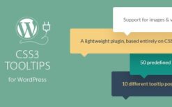 CSS3 Tooltips For WordPress v1.7