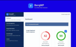 BerqWP v2.2.56 WordPress Speed & Core Web Vitals Optimization Plugin