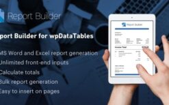 Report Builder for wpDataTables v2.2