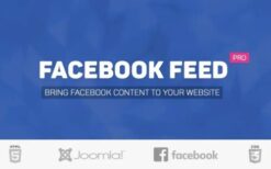 Facebook Feed Pro (v3.12.1) Joomla