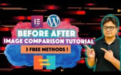 Before After Image Slider Elementor Addon v1.0.1