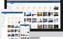 YetiShare v5.6.0 Incl. All plugins & Languages