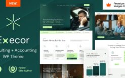 Execor (v15.0) Accounting and Management Consulting