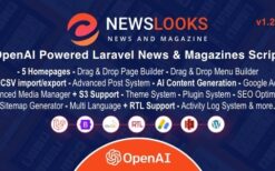 NewsLooks v2.2.0 OpenAI Powered Laravel News & Magazines Script