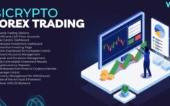 Forex Trading & Investment Addon For Bicrypto v4.0.2 Forex, Stocks, Shares, Indices, Commodities, Equitie