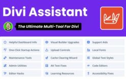 Divi Assistant v1.3.1