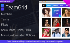 Team Grid (v1.3.6) Team Member Showcase WordPress Plugin & Team Editor