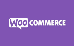 WooCommerce Order Tags v5.0.0