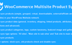 WooCommerce Multisite Product Sync v2.2.0