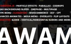 Awam (v1.0.9) Agency Portfolio WordPress Theme