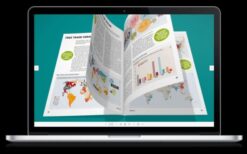 DearFlip Realistic 3D Flip-books for WordPress v2.3.58