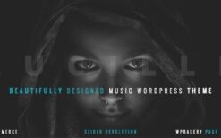 Lucille (v2.0.9.4) Music WordPress Theme