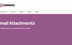 Email Attachments for WooCommerce v3.2.2