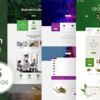 MediGreen (v1.2.3) Medical Marijuana & Dispensary WordPress Theme