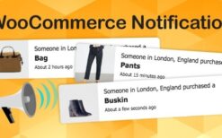 WooCommerce Notification Boost Your Sales (v1.6.7) Live Feed Sales – Recent Sales Popup – Upsells