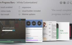 Zoom Progress Bars v2.10 WordPress Plugin