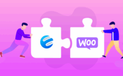 WP ERP WooCommerce Integration v1.3.1