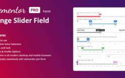 Range Slider Field for Elementor form v1.2.0