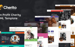 Cherito (v1.0.0) Non Profit Charity WordPress Theme