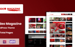 Video Magazine (v1.0.0) WordPress Magazine Theme