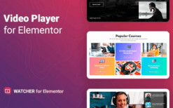 Watcher (v1.0.9) Flexible Video Player for Elementor