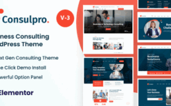 Consulpro (v3.0.1) Finance & Business Consulting