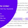 PHP Auto Linker – Advanced Keyword Linking v1.05