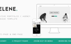 SELENE (v1.0) Creative Portfolio / Agency WP Theme