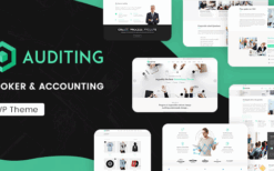 Auditing v3.5 Accounting Consultant, Finance WordPres
