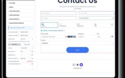 Elementor Stripe Payment (Premium) v1.17.3